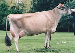 bluegrass jades blondette